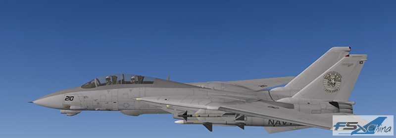 F-14 side(1).png