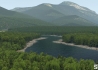 223757_Forests_New_1.jpg