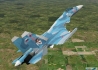 TIGERS-SU-33.jpg