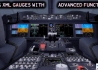Boeing_787_Family_ _Virtual_Cockpit_FSX_P3D_4_FSXChina.jpg