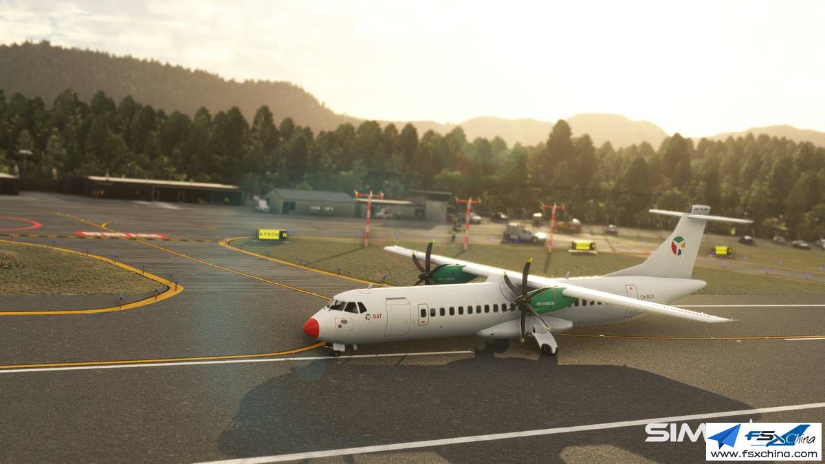 10001_fsxchina.jpg