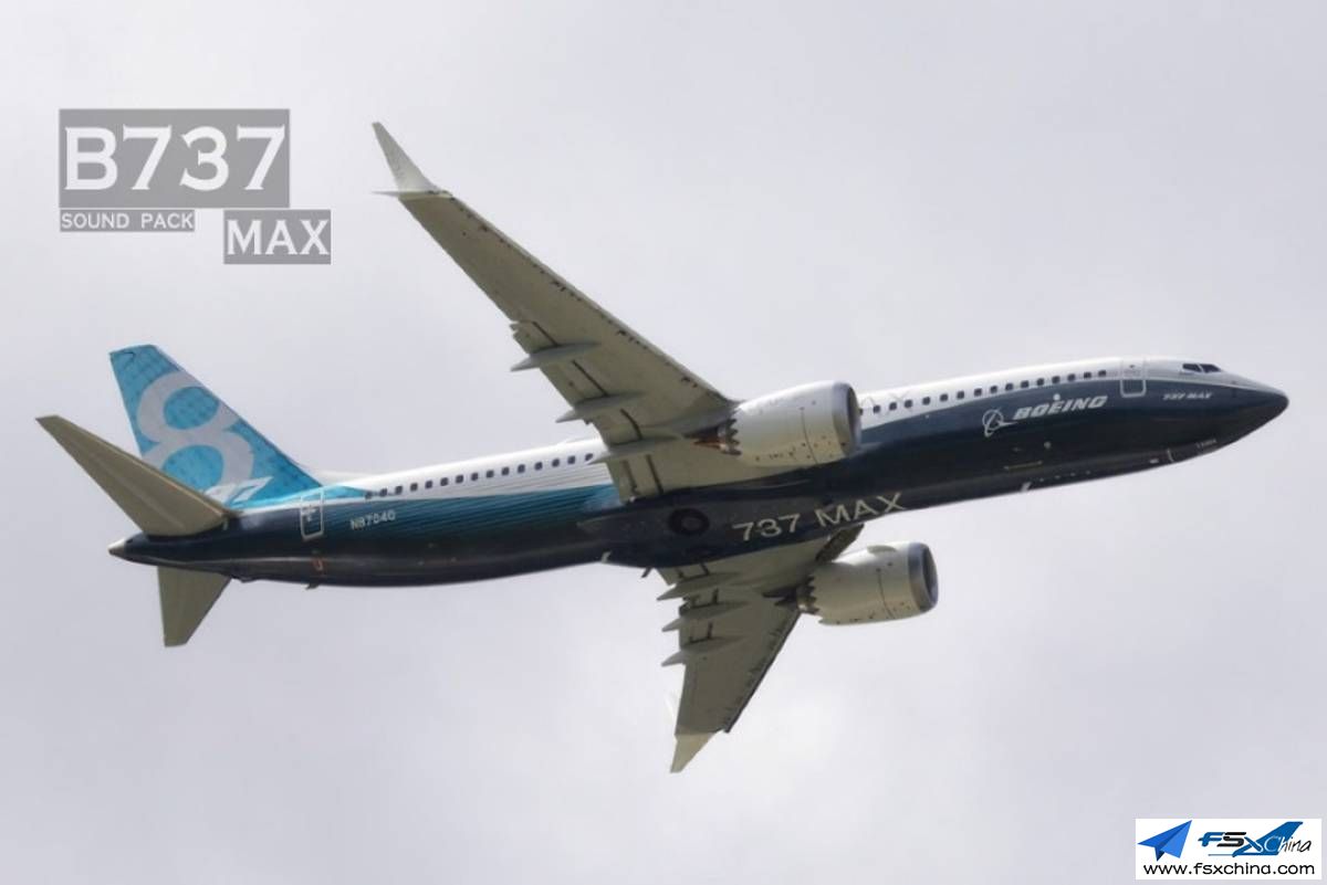 737max.jpg