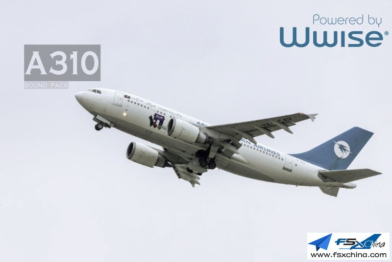 A310ww.jpg