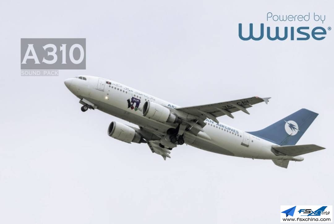 A310ww.jpg