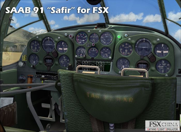FS2C2D~1.JPG