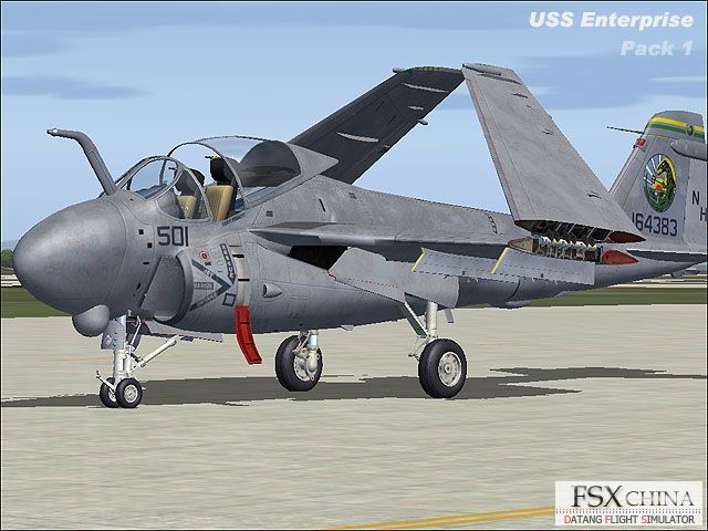 FS8A33~1.JPG