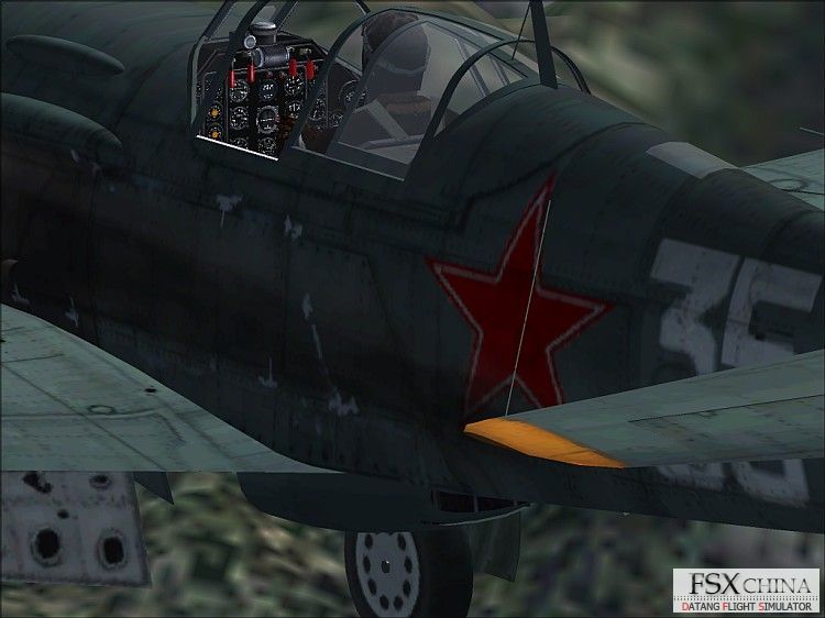 FS2A73~1.JPG