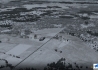 5c1782351ab7d.jpg